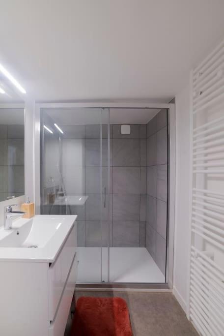 Appartement Cosy Hyper Centre Épinal Dış mekan fotoğraf